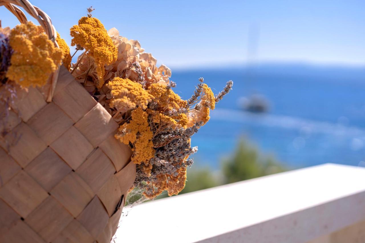 Hotel Pansion Marjan Zavala Zewnętrze zdjęcie